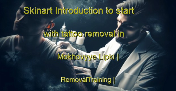 Skinart Introduction to start with tattoo removal in Mokhovyye Lipki | RemovalTraining | RemovalClasses | SkinartTraining-Russian Federation